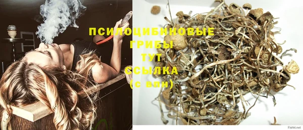 СК Нягань